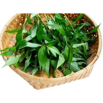 Vietnamese Coriander 越南香菜 100g
