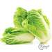 Chinese Cabbage 720-880G Vegetables