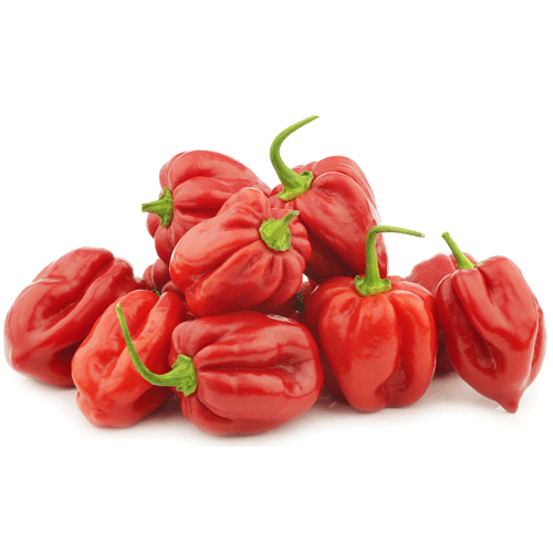 Red Habanero Pepper (Super Spicy) 灯笼辣椒 100g