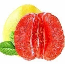 Premium Red Pomelo 特级红柚 1st