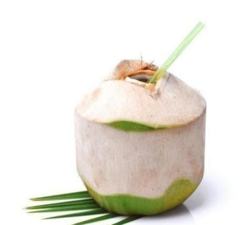 Fresh Young Coconut Fruit